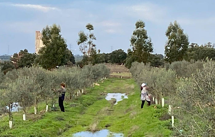 Free Bootstrap Template by uicookies.com